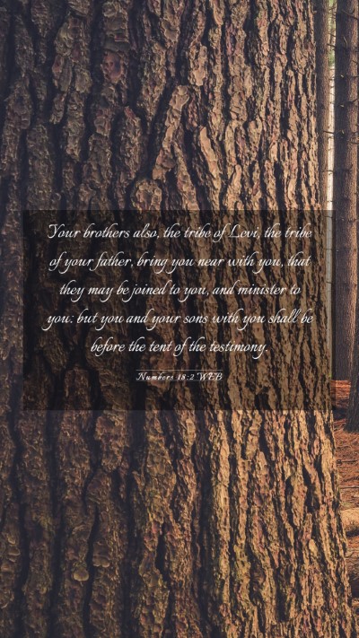 Picture 03 - Numbers 18:2 WEB Mobile Phone Wallpaper - Your brothers also, the tribe of Levi, the tribe - Mobile Bible Verse Wallpaper