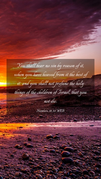 Picture 03 - Numbers 18:32 WEB Mobile Phone Wallpaper - You shall bear no sin by reason of it, when you - Mobile Bible Verse Wallpaper