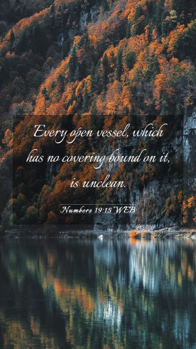 Picture 03 - Numbers 19:15 WEB Mobile Phone Wallpaper - Every open vessel, which has no covering bound on - Mobile Bible Verse Wallpaper