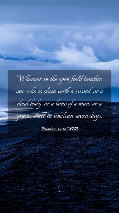 Picture 03 - Numbers 19:16 WEB Mobile Phone Wallpaper - Whoever in the open field touches one who is - Mobile Bible Verse Wallpaper
