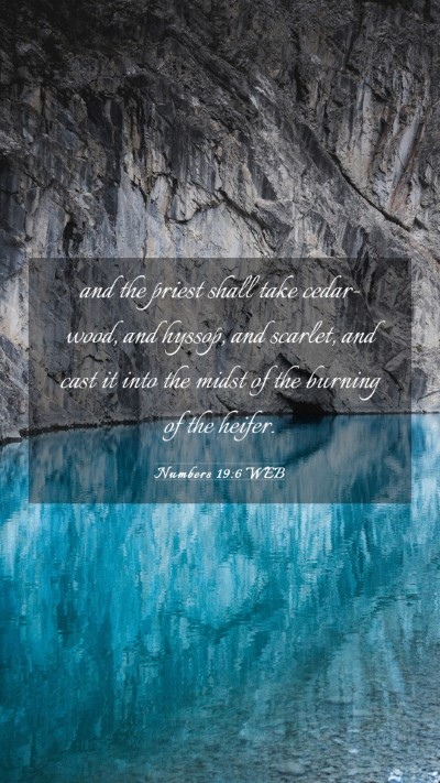 Picture 03 - Numbers 19:6 WEB Mobile Phone Wallpaper - and the priest shall take cedar-wood, and hyssop, - Mobile Bible Verse Wallpaper
