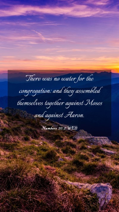 Picture 03 - Numbers 20:2 WEB Mobile Phone Wallpaper - There was no water for the congregation: and they - Mobile Bible Verse Wallpaper