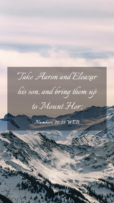 Picture 03 - Numbers 20:25 WEB Mobile Phone Wallpaper - Take Aaron and Eleazar his son, and bring them up - Mobile Bible Verse Wallpaper