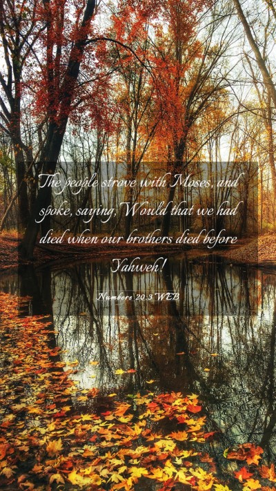 Picture 03 - Numbers 20:3 WEB Mobile Phone Wallpaper - The people strove with Moses, and spoke, saying, - Mobile Bible Verse Wallpaper