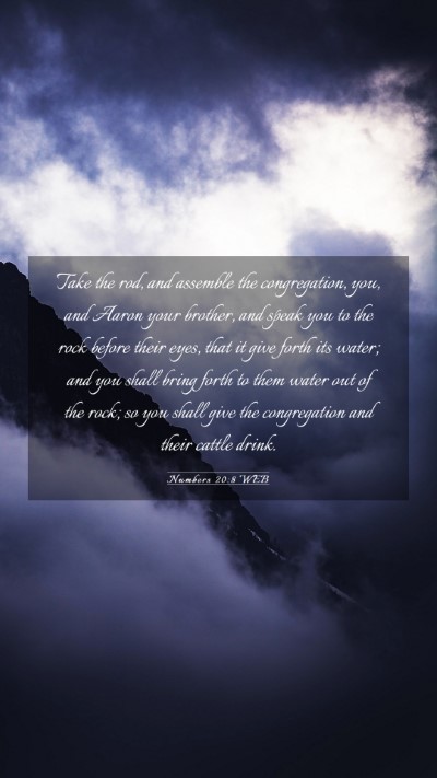 Picture 03 - Numbers 20:8 WEB Mobile Phone Wallpaper - Take the rod, and assemble the congregation, you, - Mobile Bible Verse Wallpaper
