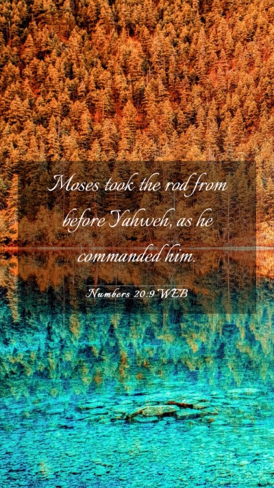 Picture 03 - Numbers 20:9 WEB Mobile Phone Wallpaper - Moses took the rod from before Yahweh, as he - Mobile Bible Verse Wallpaper