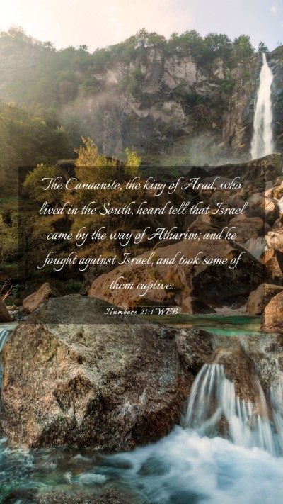 Picture 03 - Numbers 21:1 WEB Mobile Phone Wallpaper - The Canaanite, the king of Arad, who lived in the - Mobile Bible Verse Wallpaper