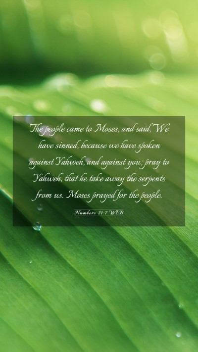 Picture 03 - Numbers 21:7 WEB Mobile Phone Wallpaper - The people came to Moses, and said, We have - Mobile Bible Verse Wallpaper