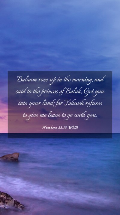 Picture 03 - Numbers 22:13 WEB Mobile Phone Wallpaper - Balaam rose up in the morning, and said to the - Mobile Bible Verse Wallpaper