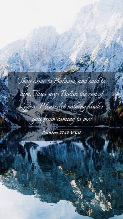 Picture 03 - Numbers 22:16 WEB Mobile Phone Wallpaper - They came to Balaam, and said to him, Thus says - Mobile Bible Verse Wallpaper