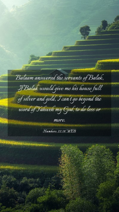 Picture 03 - Numbers 22:18 WEB Mobile Phone Wallpaper - Balaam answered the servants of Balak, If Balak - Mobile Bible Verse Wallpaper