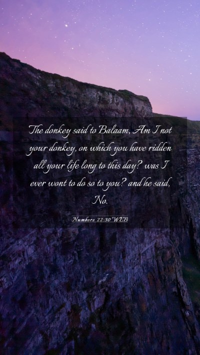 Picture 03 - Numbers 22:30 WEB Mobile Phone Wallpaper - The donkey said to Balaam, Am I not your donkey, - Mobile Bible Verse Wallpaper