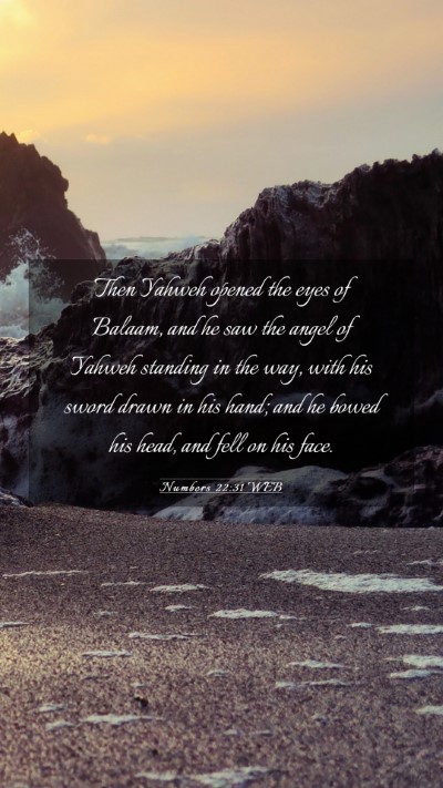 Picture 03 - Numbers 22:31 WEB Mobile Phone Wallpaper - Then Yahweh opened the eyes of Balaam, and he saw - Mobile Bible Verse Wallpaper