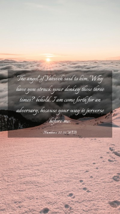Picture 03 - Numbers 22:32 WEB Mobile Phone Wallpaper - The angel of Yahweh said to him, Why have you - Mobile Bible Verse Wallpaper
