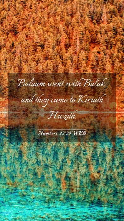 Picture 03 - Numbers 22:39 WEB Mobile Phone Wallpaper - Balaam went with Balak, and they came to Kiriath - Mobile Bible Verse Wallpaper
