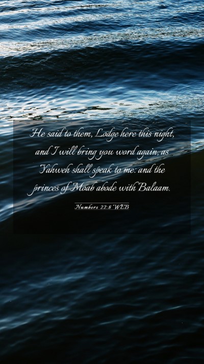 Picture 03 - Numbers 22:8 WEB Mobile Phone Wallpaper - He said to them, Lodge here this night, and I - Mobile Bible Verse Wallpaper