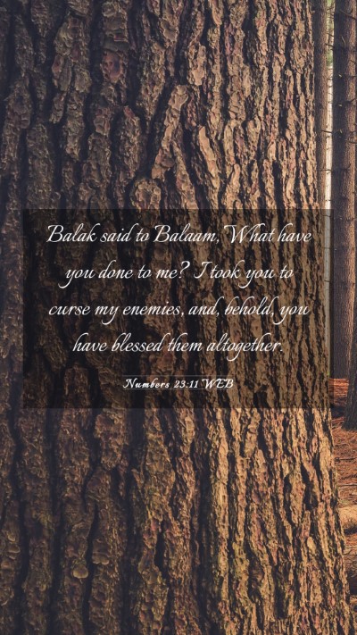 Picture 03 - Numbers 23:11 WEB Mobile Phone Wallpaper - Balak said to Balaam, What have you done to me? I - Mobile Bible Verse Wallpaper