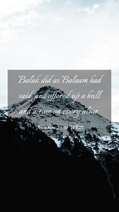 Picture 03 - Numbers 23:30 WEB Mobile Phone Wallpaper - Balak did as Balaam had said, and offered up a - Mobile Bible Verse Wallpaper