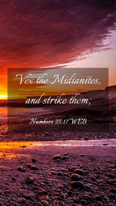 Picture 03 - Numbers 25:17 WEB Mobile Phone Wallpaper - Vex the Midianites, and strike - Mobile Bible Verse Wallpaper