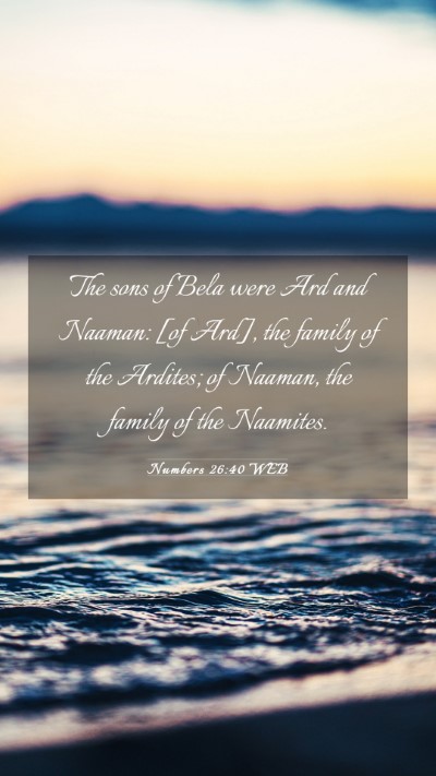 Picture 03 - Numbers 26:40 WEB Mobile Phone Wallpaper - The sons of Bela were Ard and Naaman: [of Ard], - Mobile Bible Verse Wallpaper