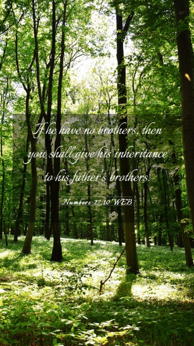 Picture 03 - Numbers 27:10 WEB Mobile Phone Wallpaper - If he have no brothers, then you shall give his - Mobile Bible Verse Wallpaper