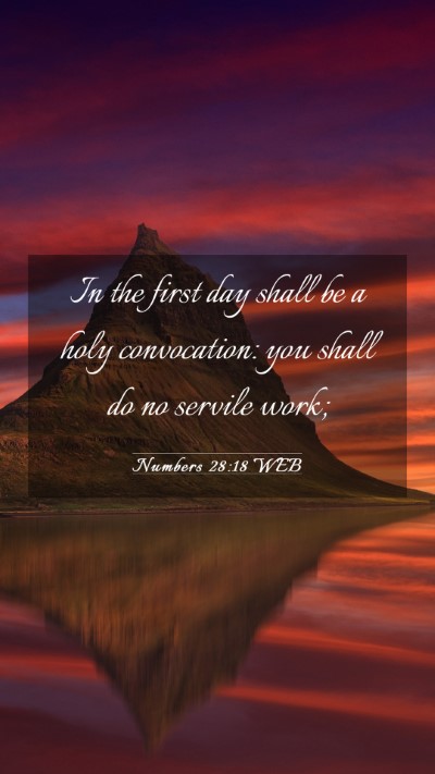Picture 03 - Numbers 28:18 WEB Mobile Phone Wallpaper - In the first day shall be a holy convocation: you - Mobile Bible Verse Wallpaper