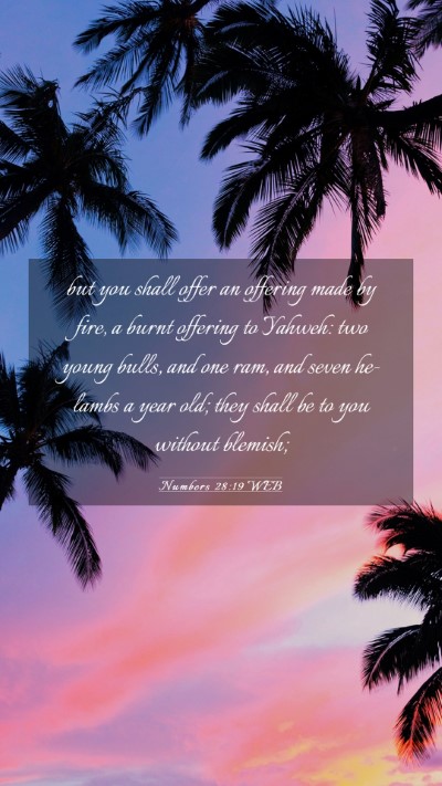 Picture 03 - Numbers 28:19 WEB Mobile Phone Wallpaper - but you shall offer an offering made by fire, a - Mobile Bible Verse Wallpaper