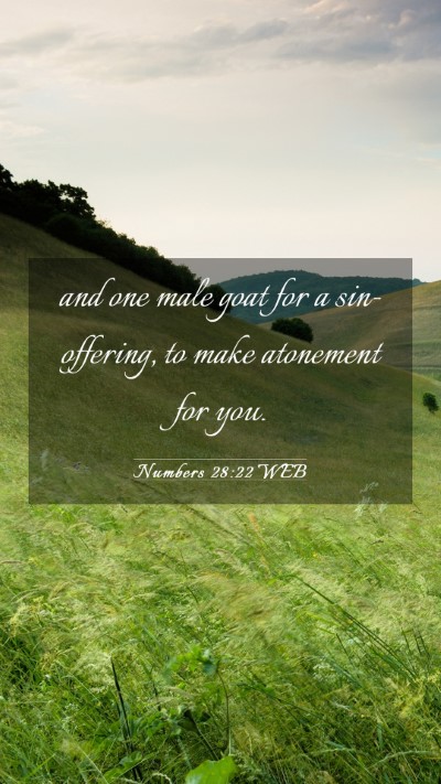 Picture 03 - Numbers 28:22 WEB Mobile Phone Wallpaper - and one male goat for a sin-offering, to make - Mobile Bible Verse Wallpaper