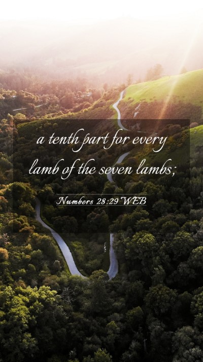 Picture 03 - Numbers 28:29 WEB Mobile Phone Wallpaper - a tenth part for every lamb of the seven - Mobile Bible Verse Wallpaper