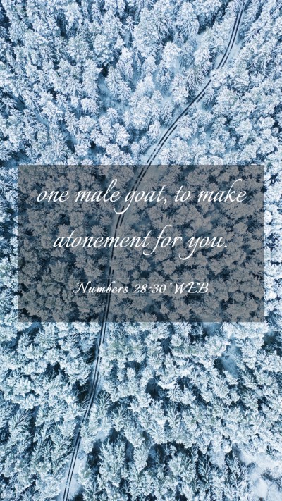 Picture 03 - Numbers 28:30 WEB Mobile Phone Wallpaper - one male goat, to make atonement for - Mobile Bible Verse Wallpaper