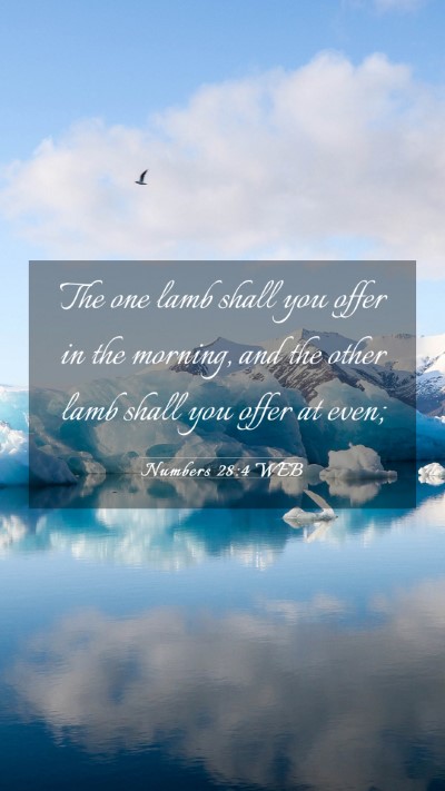 Picture 03 - Numbers 28:4 WEB Mobile Phone Wallpaper - The one lamb shall you offer in the morning, and - Mobile Bible Verse Wallpaper