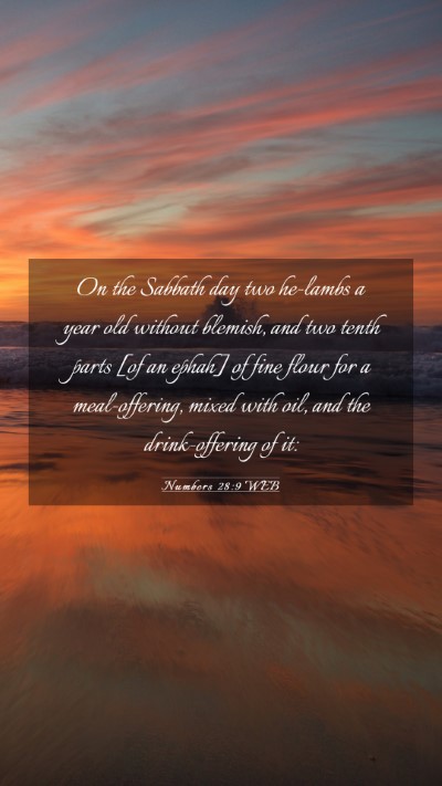 Picture 03 - Numbers 28:9 WEB Mobile Phone Wallpaper - On the Sabbath day two he-lambs a year old - Mobile Bible Verse Wallpaper