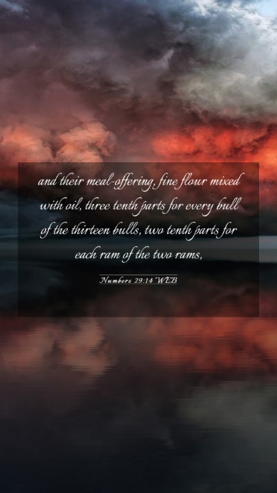 Picture 03 - Numbers 29:14 WEB Mobile Phone Wallpaper - and their meal-offering, fine flour mixed with - Mobile Bible Verse Wallpaper
