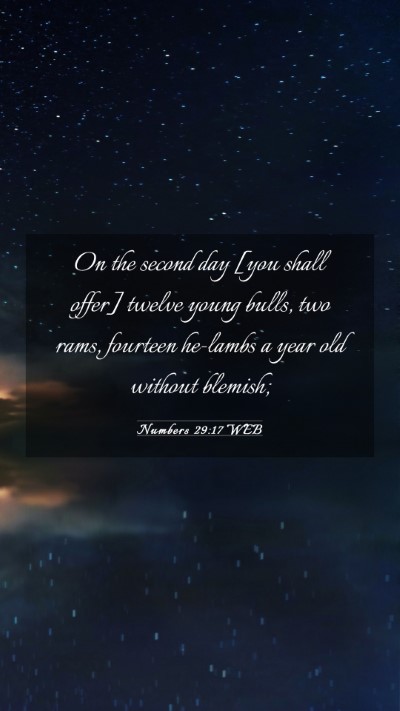 Picture 03 - Numbers 29:17 WEB Mobile Phone Wallpaper - On the second day [you shall offer] twelve young - Mobile Bible Verse Wallpaper