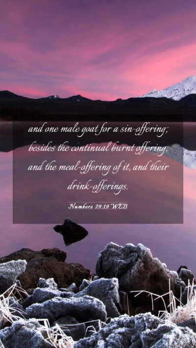 Picture 03 - Numbers 29:19 WEB Mobile Phone Wallpaper - and one male goat for a sin-offering; besides the - Mobile Bible Verse Wallpaper