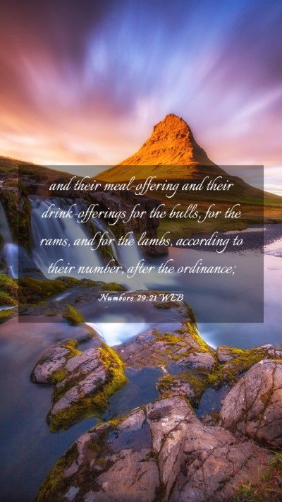 Picture 03 - Numbers 29:21 WEB Mobile Phone Wallpaper - and their meal-offering and their drink-offerings - Mobile Bible Verse Wallpaper