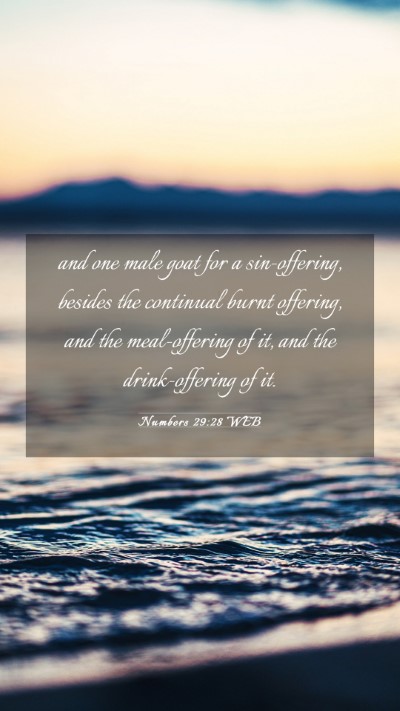 Picture 03 - Numbers 29:28 WEB Mobile Phone Wallpaper - and one male goat for a sin-offering, besides the - Mobile Bible Verse Wallpaper