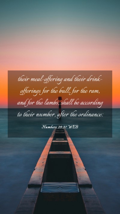 Picture 03 - Numbers 29:37 WEB Mobile Phone Wallpaper - their meal-offering and their drink-offerings for - Mobile Bible Verse Wallpaper