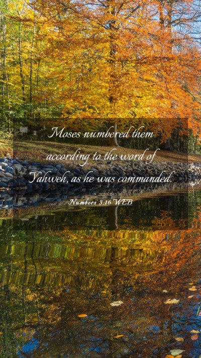 Picture 03 - Numbers 3:16 WEB Mobile Phone Wallpaper - Moses numbered them according to the word of - Mobile Bible Verse Wallpaper