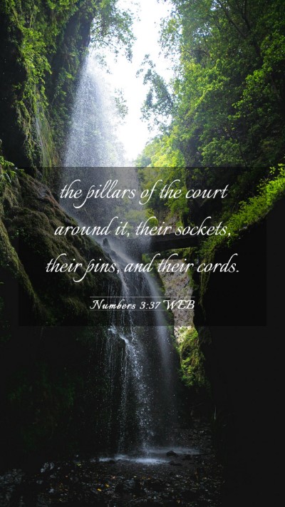 Picture 03 - Numbers 3:37 WEB Mobile Phone Wallpaper - the pillars of the court around it, their - Mobile Bible Verse Wallpaper