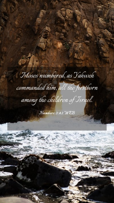 Picture 03 - Numbers 3:42 WEB Mobile Phone Wallpaper - Moses numbered, as Yahweh commanded him, all the - Mobile Bible Verse Wallpaper