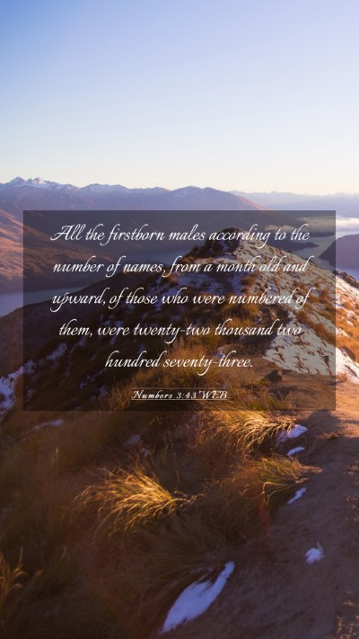 Picture 03 - Numbers 3:43 WEB Mobile Phone Wallpaper - All the firstborn males according to the number - Mobile Bible Verse Wallpaper