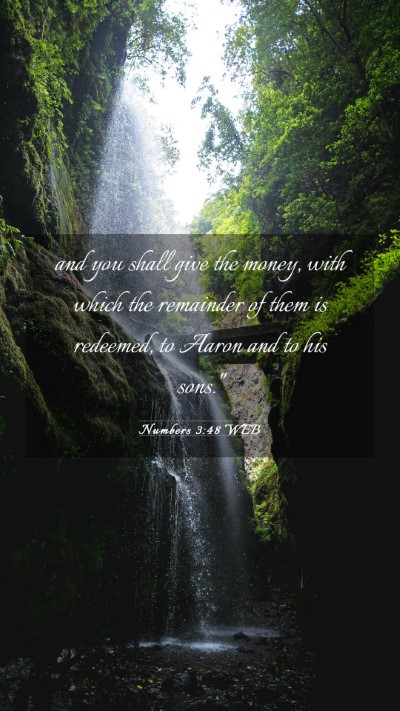 Picture 03 - Numbers 3:48 WEB Mobile Phone Wallpaper - and you shall give the money, with which the - Mobile Bible Verse Wallpaper
