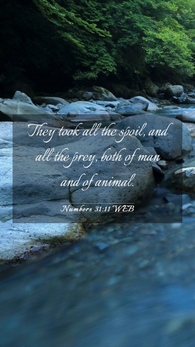 Picture 03 - Numbers 31:11 WEB Mobile Phone Wallpaper - They took all the spoil, and all the prey, both - Mobile Bible Verse Wallpaper