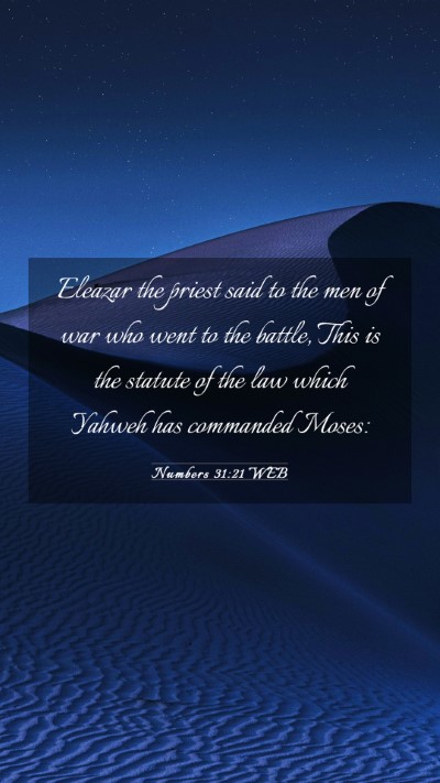 Picture 03 - Numbers 31:21 WEB Mobile Phone Wallpaper - Eleazar the priest said to the men of war who - Mobile Bible Verse Wallpaper