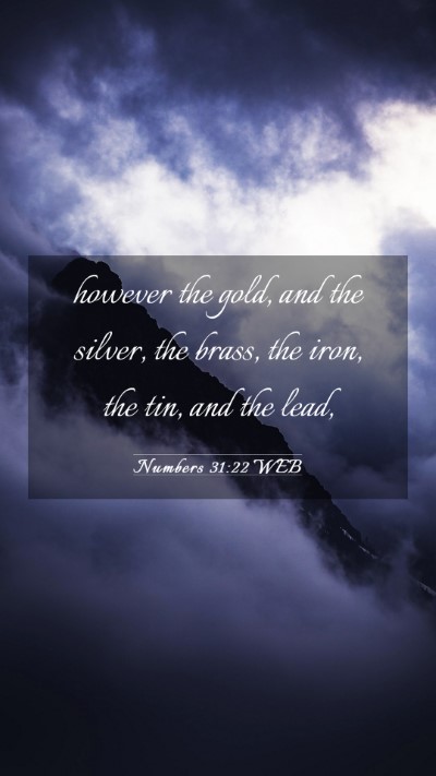 Picture 03 - Numbers 31:22 WEB Mobile Phone Wallpaper - however the gold, and the silver, the brass, the - Mobile Bible Verse Wallpaper