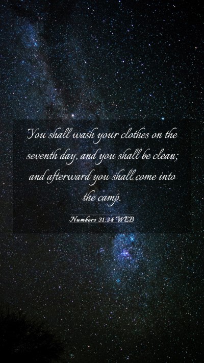 Picture 03 - Numbers 31:24 WEB Mobile Phone Wallpaper - You shall wash your clothes on the seventh day, - Mobile Bible Verse Wallpaper