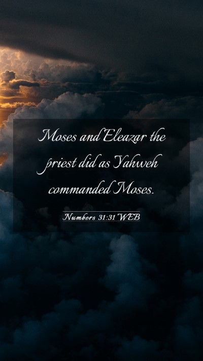 Picture 03 - Numbers 31:31 WEB Mobile Phone Wallpaper - Moses and Eleazar the priest did as Yahweh - Mobile Bible Verse Wallpaper