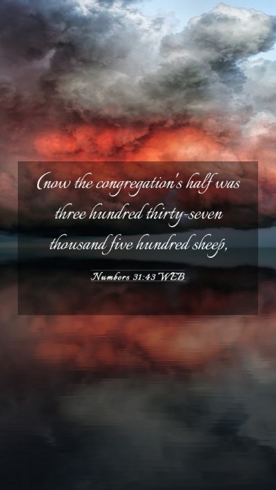 Picture 03 - Numbers 31:43 WEB Mobile Phone Wallpaper - (now the congregation's half was three hundred - Mobile Bible Verse Wallpaper