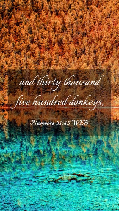 Picture 03 - Numbers 31:45 WEB Mobile Phone Wallpaper - and thirty thousand five hundred - Mobile Bible Verse Wallpaper